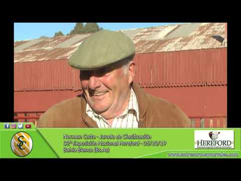 05-10-19 - Norman Catto - Jurado de Clasificacion - 32° Expo. Nac. Hereford - Bahía Blanca