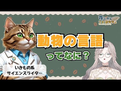 動物はどこまで言葉を理解できる？犬・猫・ヨウムの言語能力を対談！【夜ふかしことばカフェ】