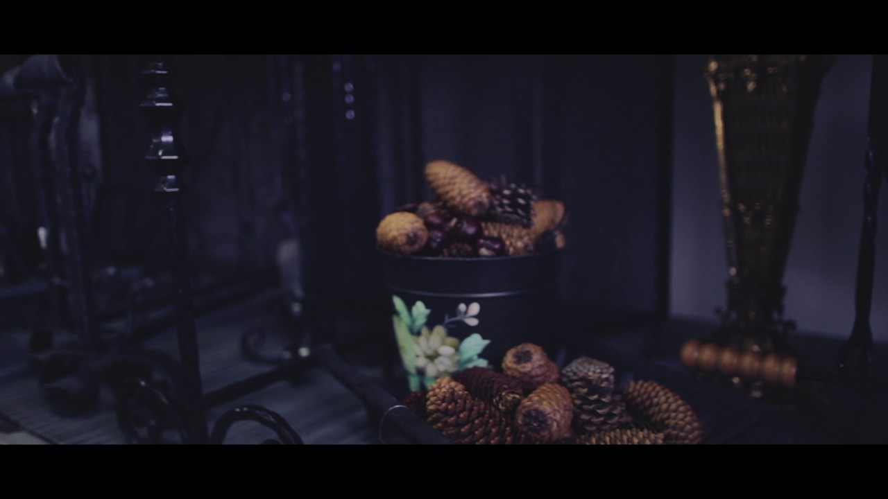 SPECIALE CAMINO. Piastre ghisa, alari, bracieri, attrezzi e accessori.