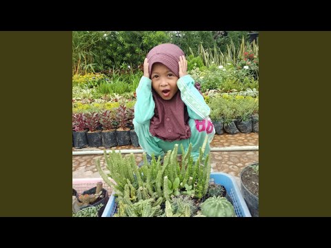 Hidup Ini Sangat Singkat