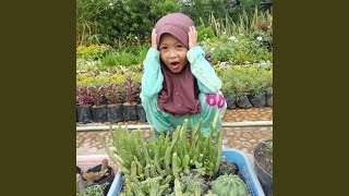 Download lagu Hidup Ini Sangat Singkat mp3 Download lagu Hidup Ini Sangat Singkat mp3