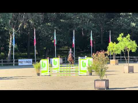 Showvideo 2