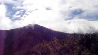 preview picture of video 'Parque Podocarpus, near Loja, Ecuador {2}'