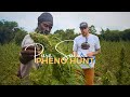 Pure Sativa Landrace Preservation And Pheno Hunt With Rastafari Church In Antigua Humboldt Seed Co