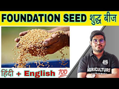 defination allopolyploid allopolyploid kya hai allopolyploid in hindi what is allopolyploid