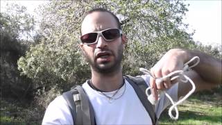 אימון בקלע דוד
