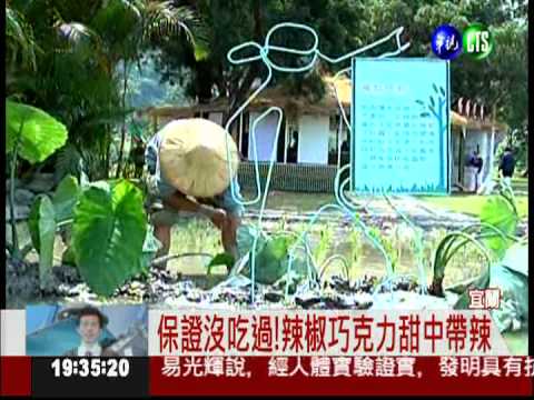 好吃又好玩! "有機"綠博週六開張