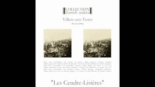 Musik-Video-Miniaturansicht zu Les Cendre-Lisières Songtext von Collection d'Arnell-Andréa
