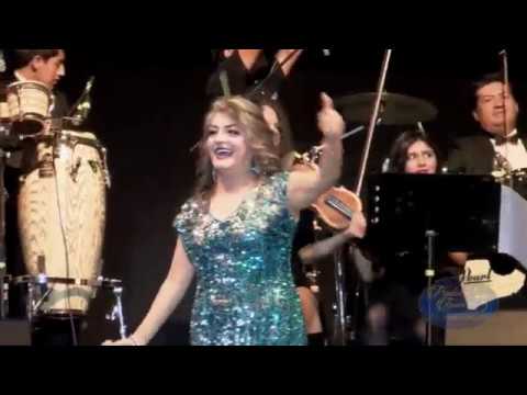 Paulina Tamayo palomita errante