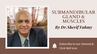 Dr. Sherif Fahmy - Submandibular gland & Muscles