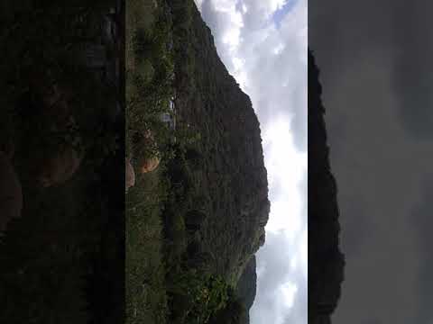 nature for kutarapancham