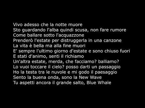 Salmo - Estate dimmerda ( TESTO + AUDIO ) Music Video Lyrics