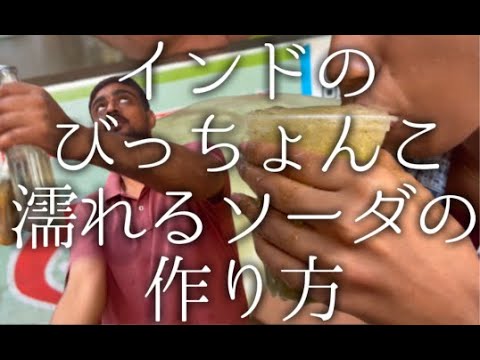 園芸 インドの石鹸メーカー、ソープツリー、ソープナッツ