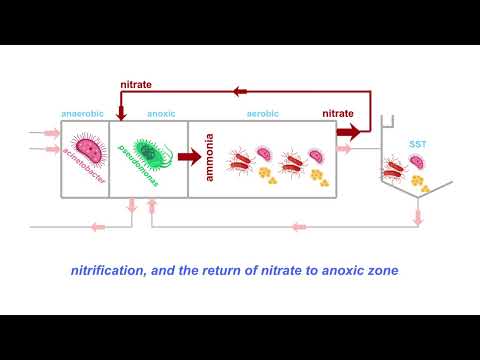 Activated Sludge basic principles by Cobus Mellet