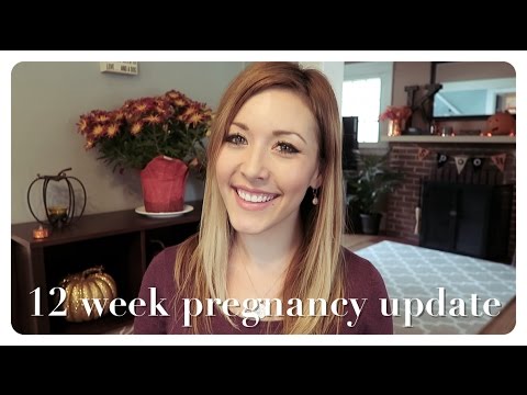 12 week pregnancy update | gaining weight