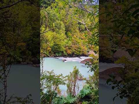 🏞️REGIÓN DE AYSÉN, CHILE