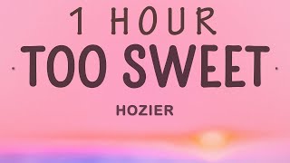 Hozier - Too Sweet | 1 hour lyrics