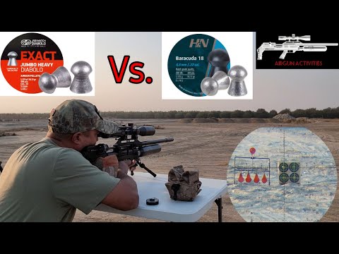 JSB Exact Heavy 18.13gr Vs. H&N Baracuda 18 | Airgun Activities