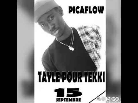 Pica flow taylé pour tekki
