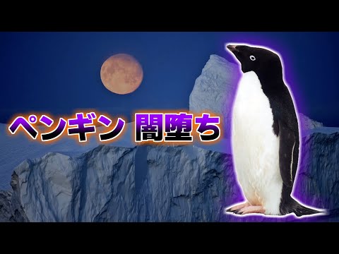 ユーディプテスについて詳しく解説