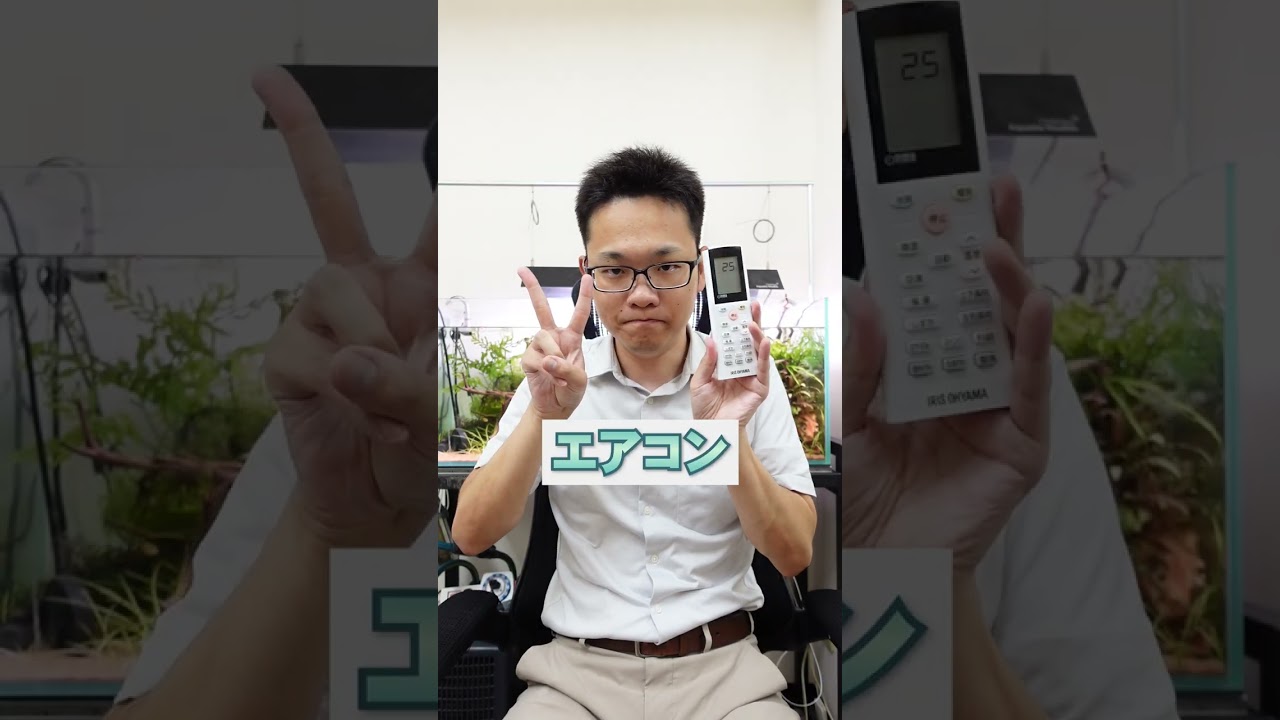 熱帯魚を高水温から守る3つの冴えわたるソリューション #熱帯魚 #水槽