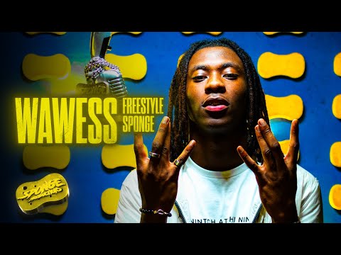 Video thumbnail for WAWESS FREESTYLE SPONGE