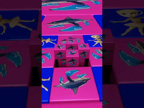 Tralalero Tralala & Ballerina Capuchina SYMBIOSIS Spin Choir