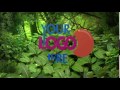 266 Jungle Forest Nature Wild Logo Reveal Intro Animation