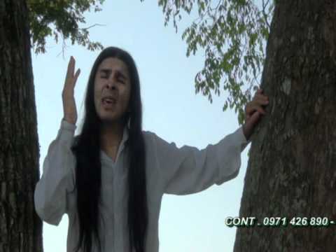 polka paraguaya  BELLA FLOR CONCEPCIONERA.mpg