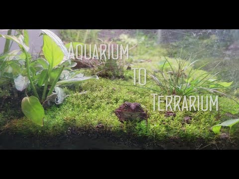 download lagu mp3 mp4 Terrarium Uses, download lagu Terrarium Uses gratis, unduh video klip Terrarium Uses