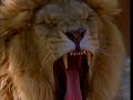 Nature Intro Funding Credits WNET Logo With Announcer PBS ID 1999 1992 1998