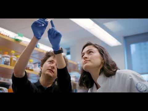 The David Rockefeller Graduate Program in Bioscience