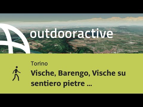 Escursione in Torino: Vische, Barengo, Vische su sentiero pietre bianche