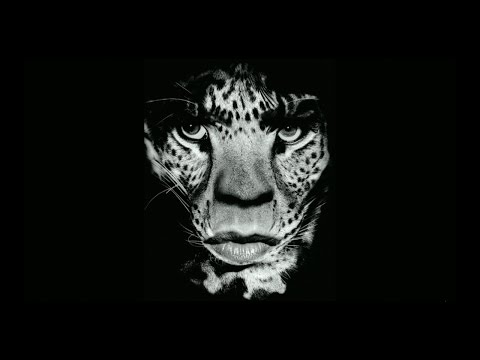 Photographer Albert Watson