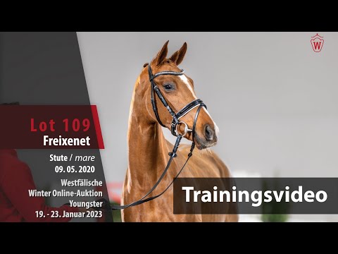 Winter Online-Auktion Training Lot 109 Freixenet Stute v. Fürst Samarant - Franziskus