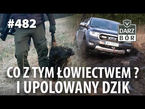 Darz Bór odc. 482 Polowanie w lutym i nowe prawo łowieckie...