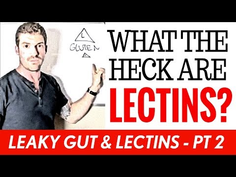 What Are Lectins & Why are They Bad? | Leaky Gut & Lectins |  Pt 2