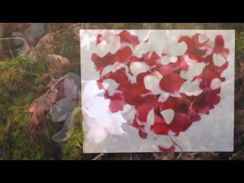 Promotional video thumbnail 3 for Dynamic Dates Event Planners and Decor