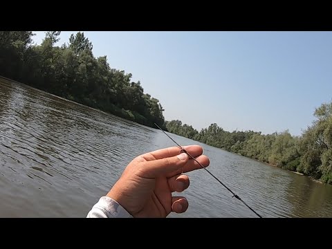 Spinning fishing from a kayak. I broke the RTB rod, sorry 😭😭😭