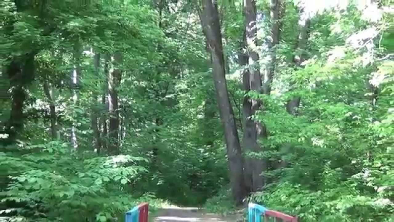 Полезное видео