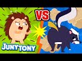 🦔Hedgehog vs. Skunk🦨 | Stinky Skunk Song | Animal Song | VS Songs for Kids | JunyTony