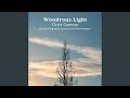 First Light Flight