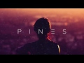 PINES Fate