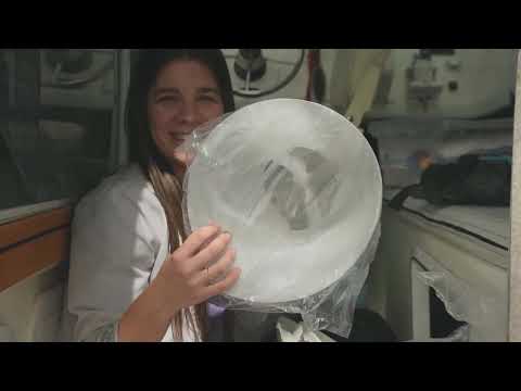 Igual de humano, igual de animal - Ginebra Producciones