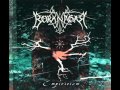 Borknagar - The Genuine Pulse
