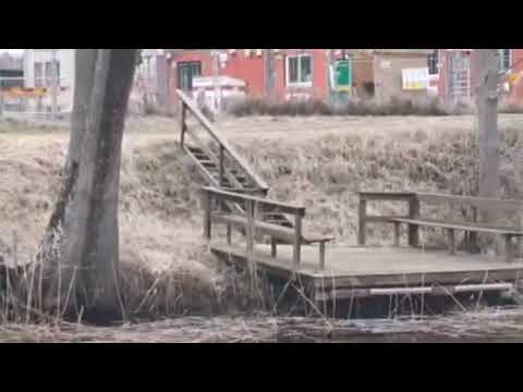 EN ILLER i Ronnebyån