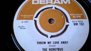 THE HONEYBUS - Throw my love away