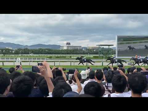 宝塚記念ゴール前　　#shorts