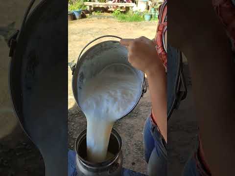 #roça #vidanocampo #caipira #agro #trabalhonocampo #cavalo