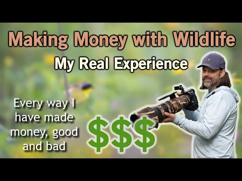 Making Money In Wildlife Photography